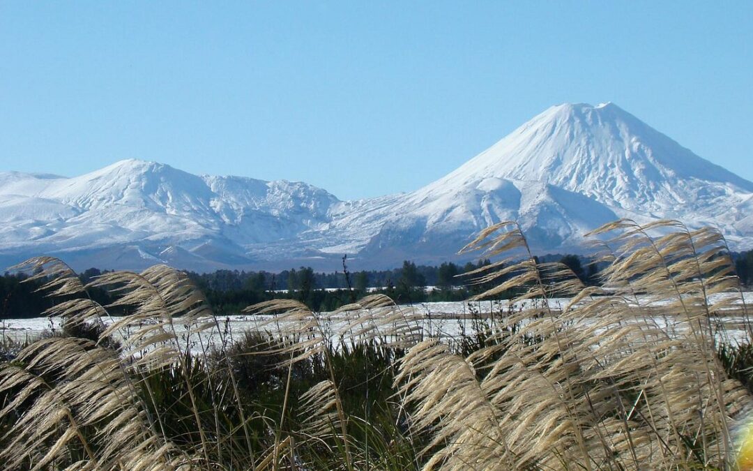 Turangi: Where Nature and Adventure Meet in New Zealand