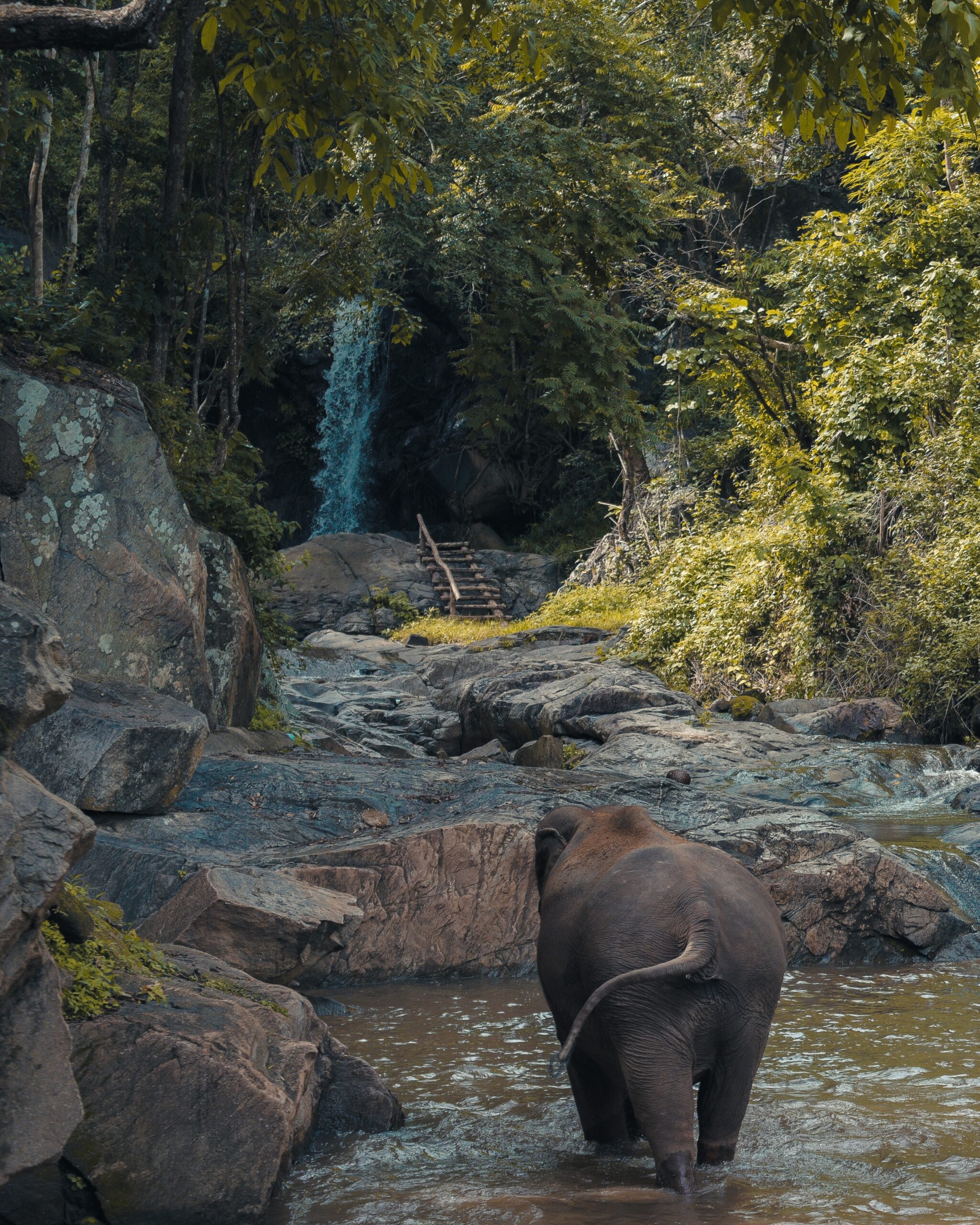 Discovering Sri Lanka