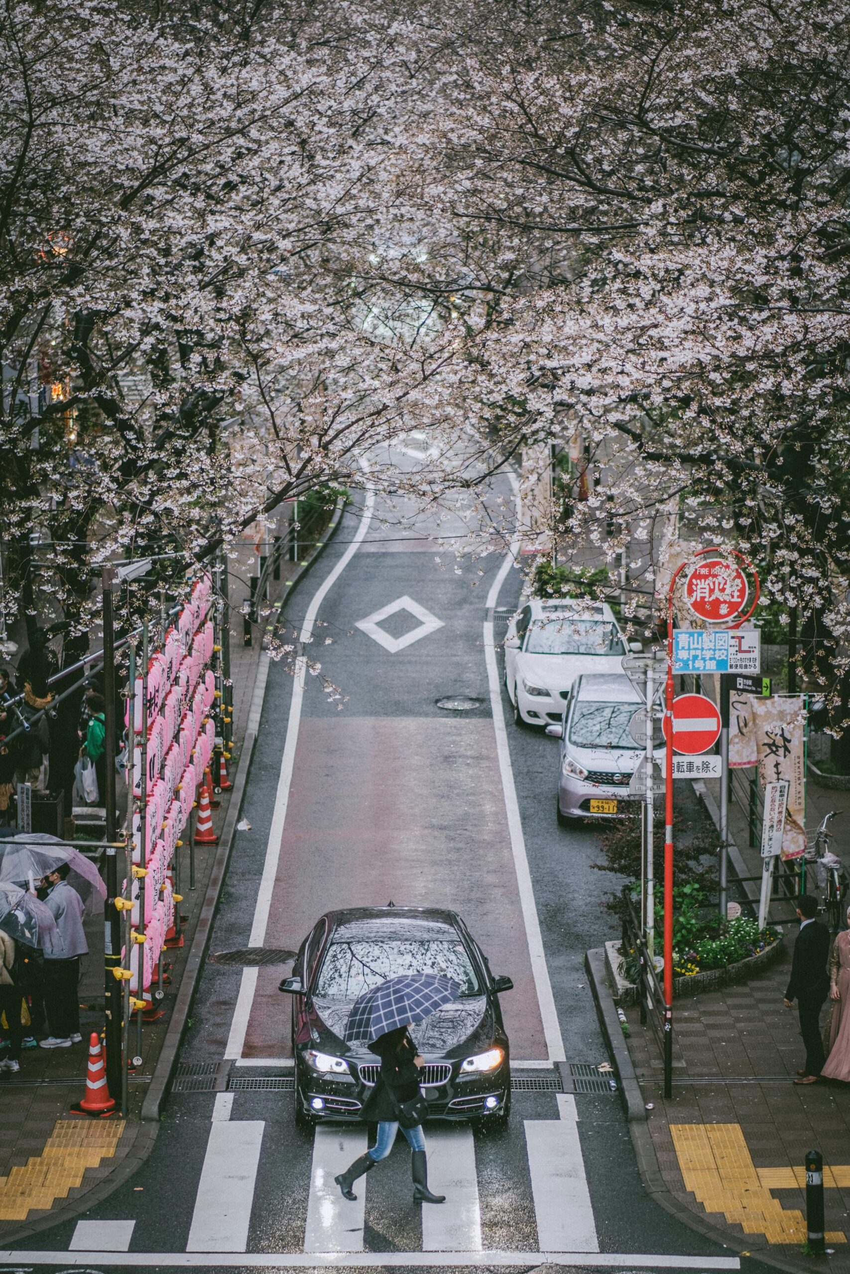 Shibuya, Tokyo – The Heartbeat of Modern Tokyo