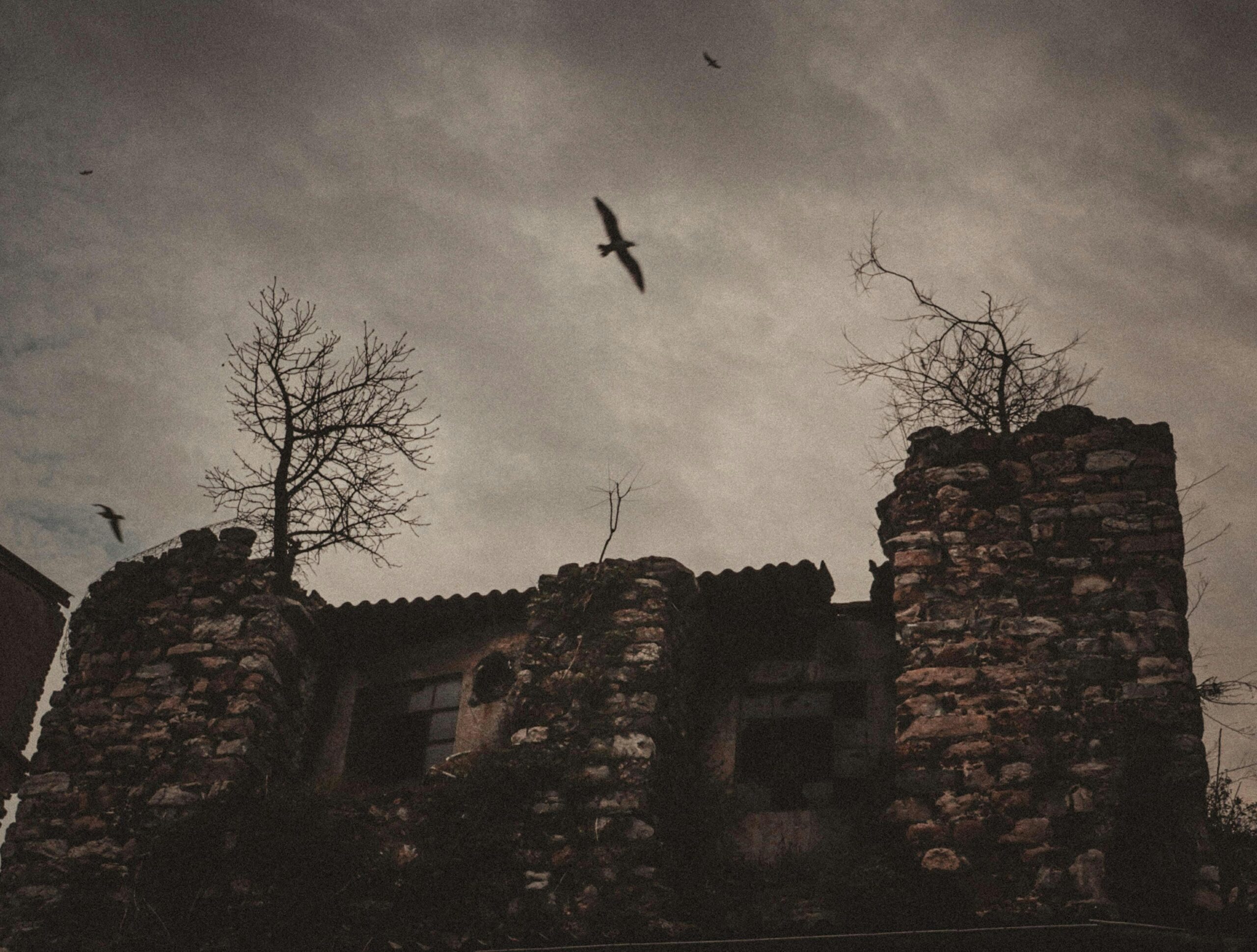 Haunted Travels: A Spooky Guide to California’s Top Paranormal Hotspots