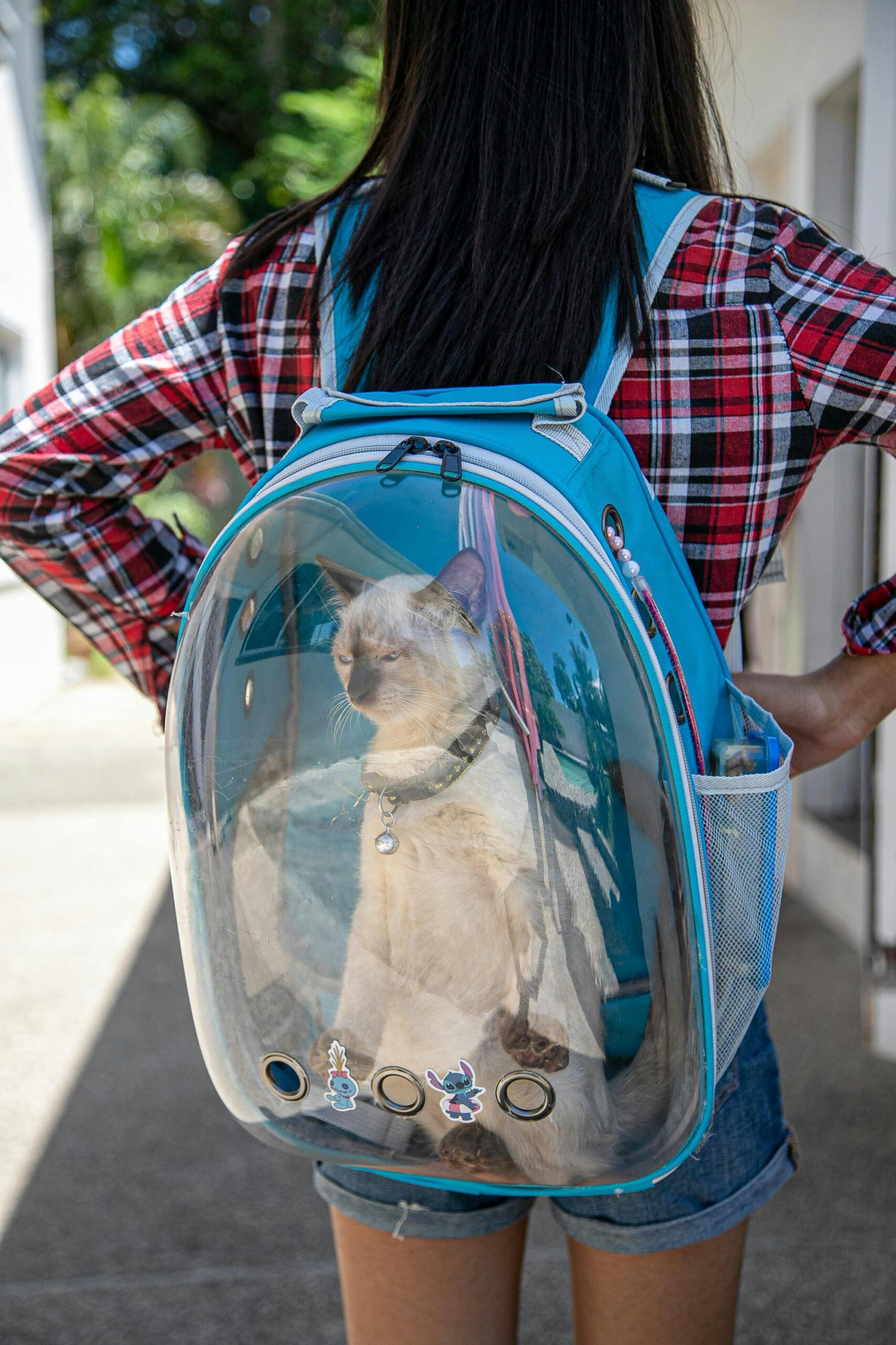 Top 5 Airline-Approved Pet Carriers for Stress-Free Travel