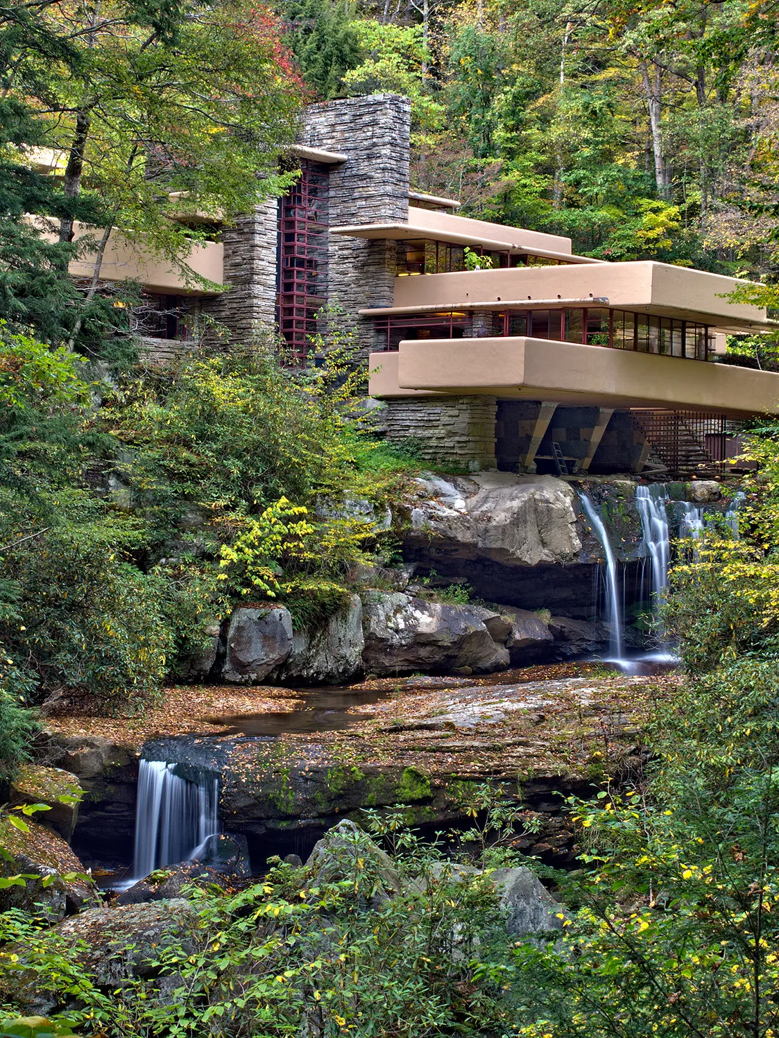 Tree Top Dining at Polymath Park: A Unique Culinary Experience