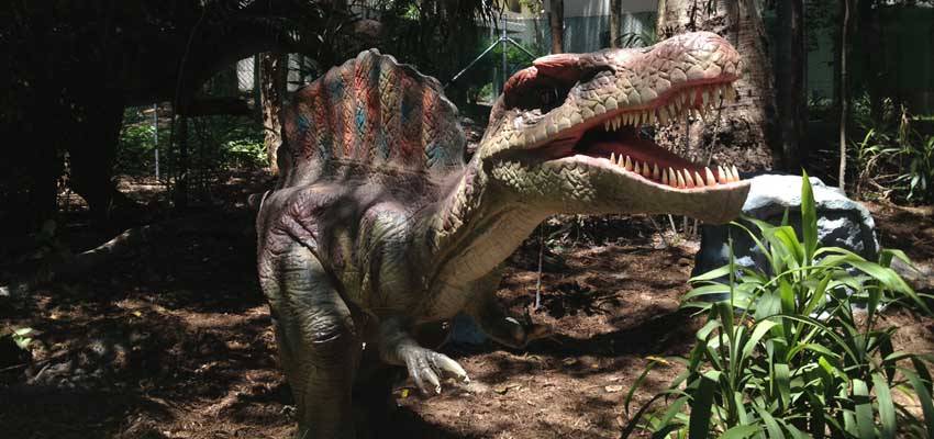 Exploring Jurassic Park in Phuket: A Thrilling Adventure Awaits