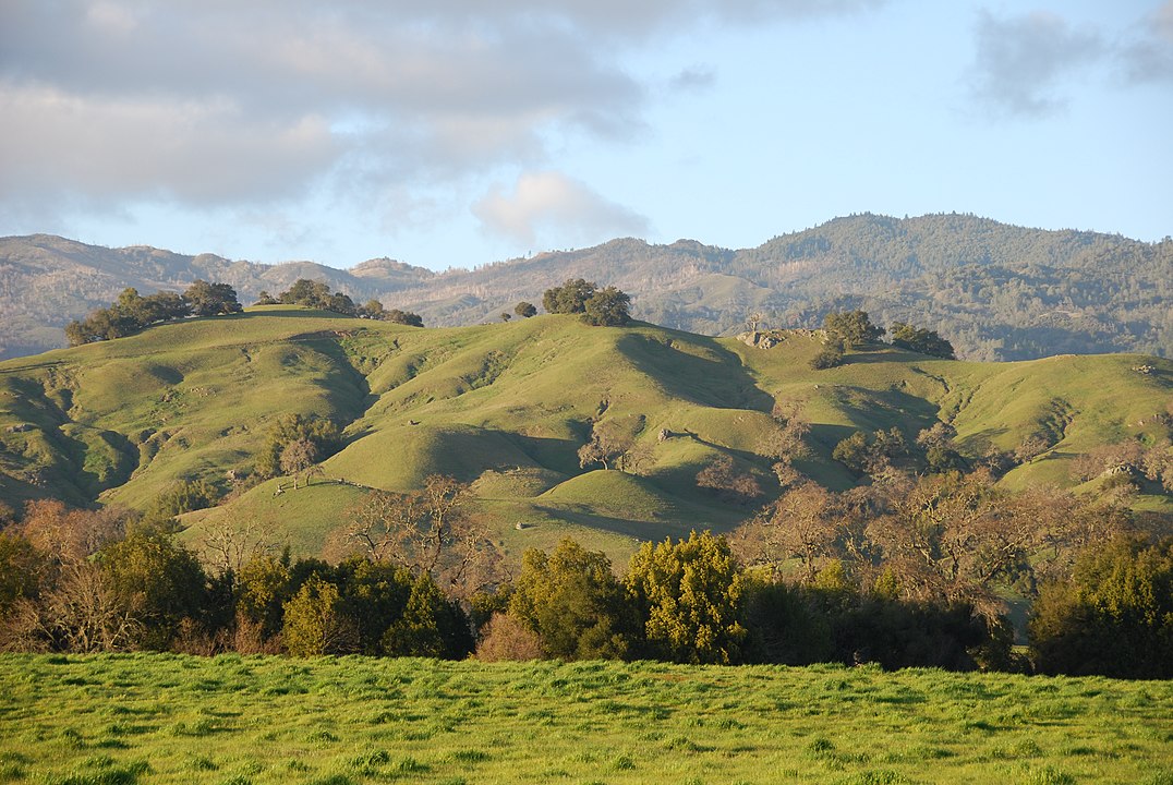 Rolling hills of Napa Valley