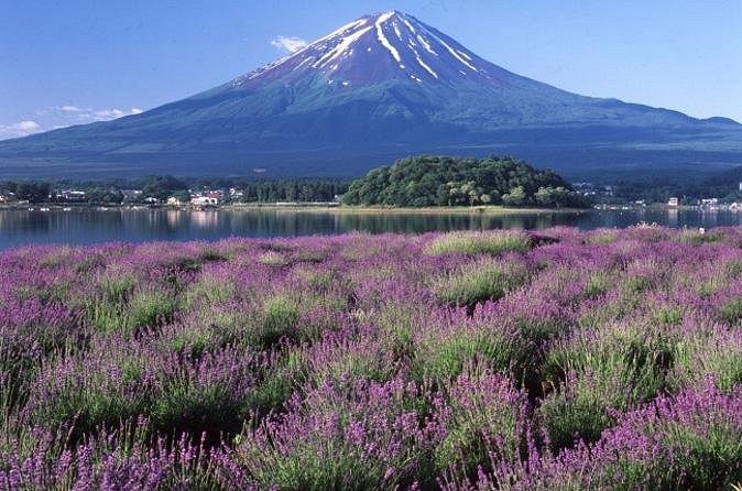 katsunuma-and-fuji-five