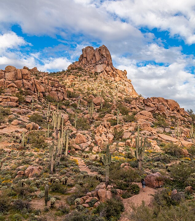 Pinnacle_Peak_In_Scottsdale_Arizona_At_Springtime