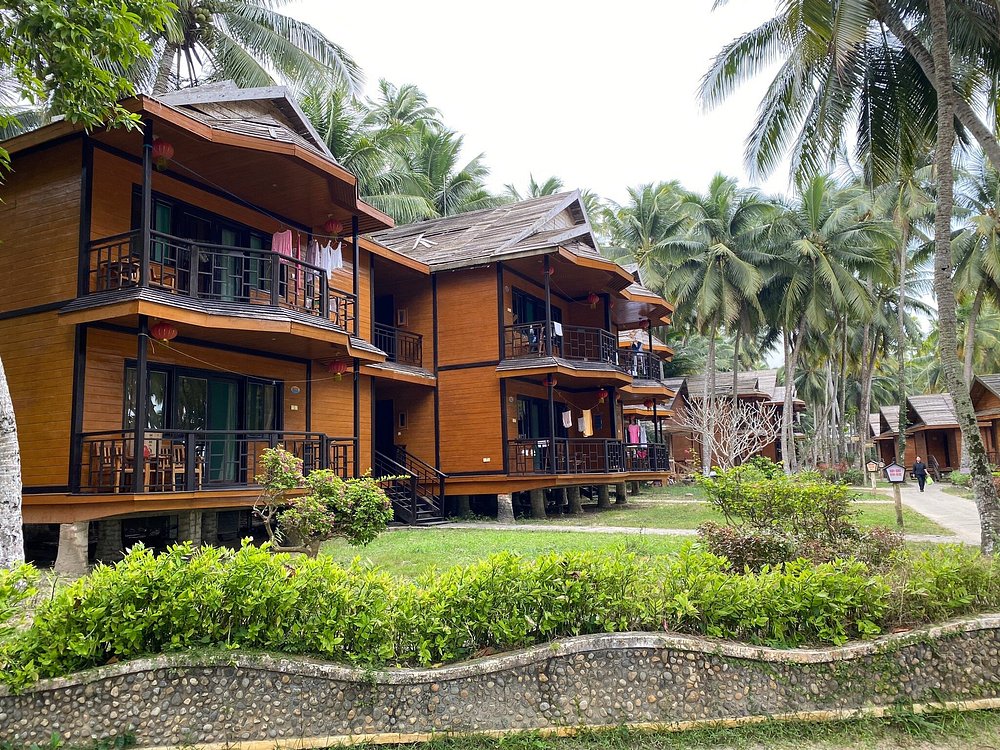 Dongjiao Coconut Forest