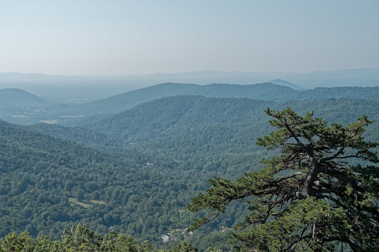 National_Park_View