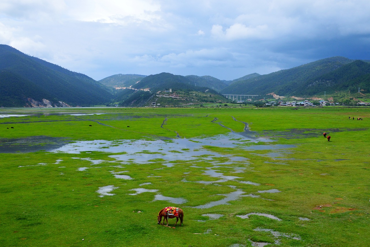 Yunnan_Grassland