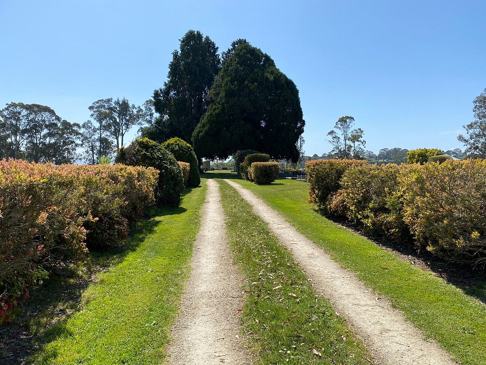 cemetery