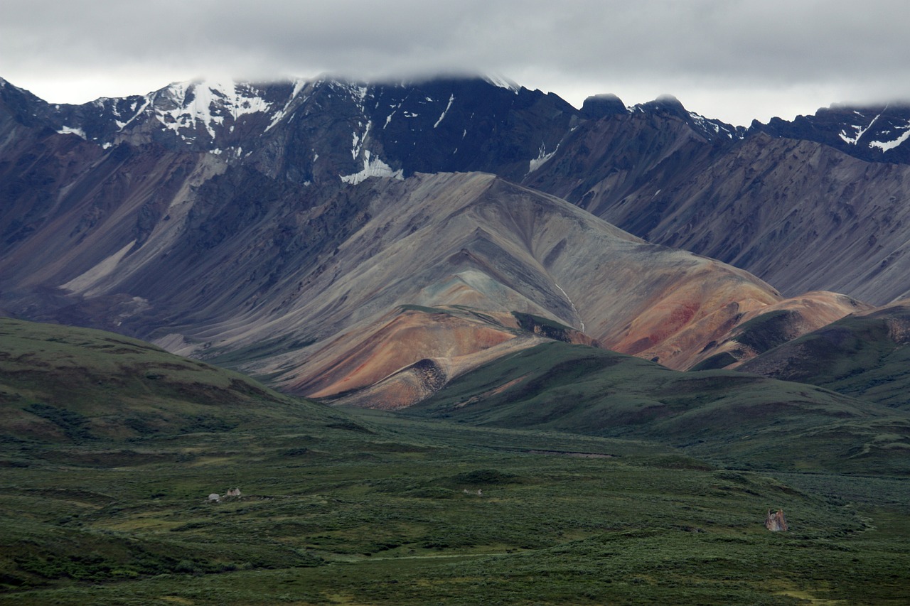 denali_1