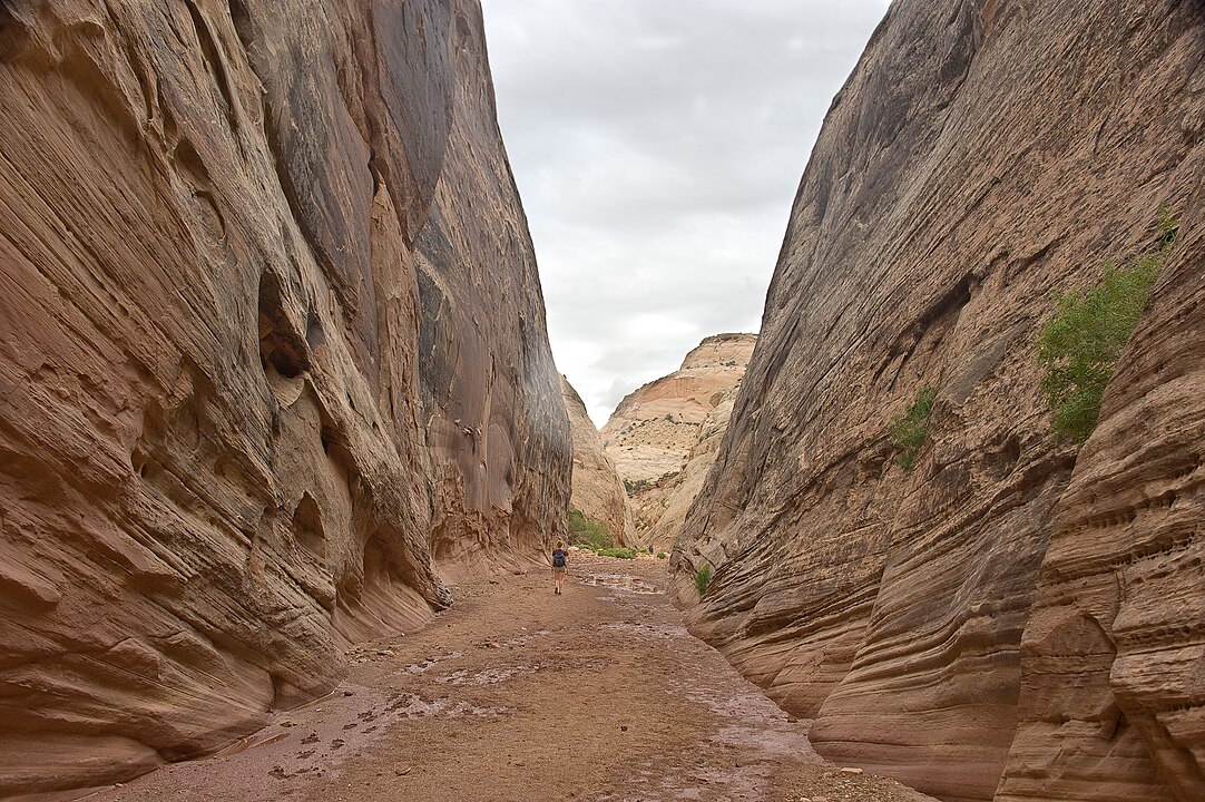 Capitol_Gorge