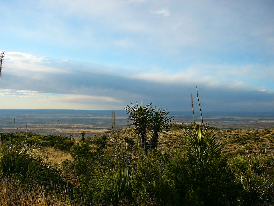 Carlsbad_caverns