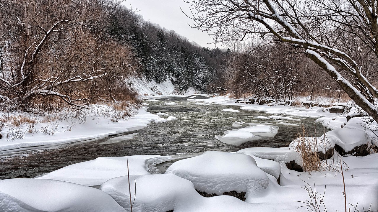 The_Credit_River_Mississauga