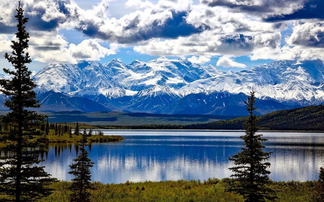 Denali National Park: Nature’s Masterpiece in Alaska