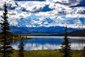 denali-national-park