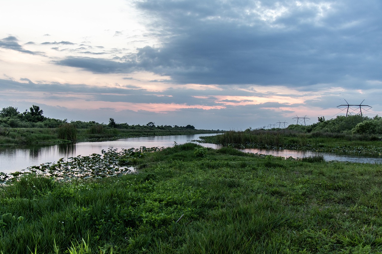 florida-everglades