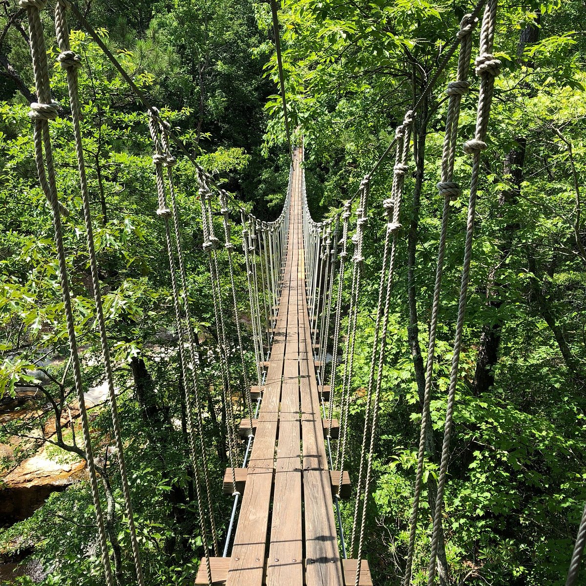 rope_bridge