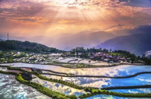 terraces-yunnan