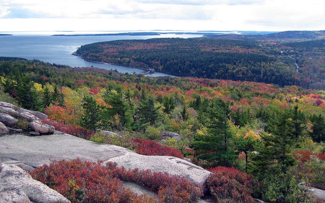 Acadia National Park: A Natural Wonderland on the Coast of Maine