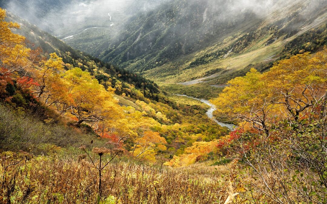 Shenandoah National Park: A Scenic Escape in Virginia