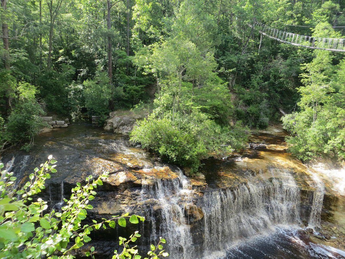 zipquest-waterfall-treetop