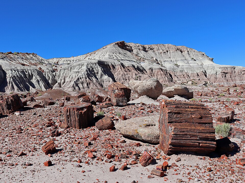 Jasper_Forest_at_Petrified_Forest Jasper_Forest_at_Petrified_Forest