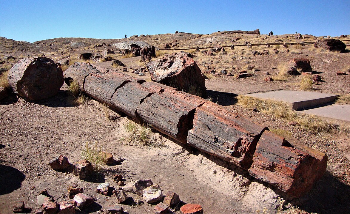 Petrified_Forest