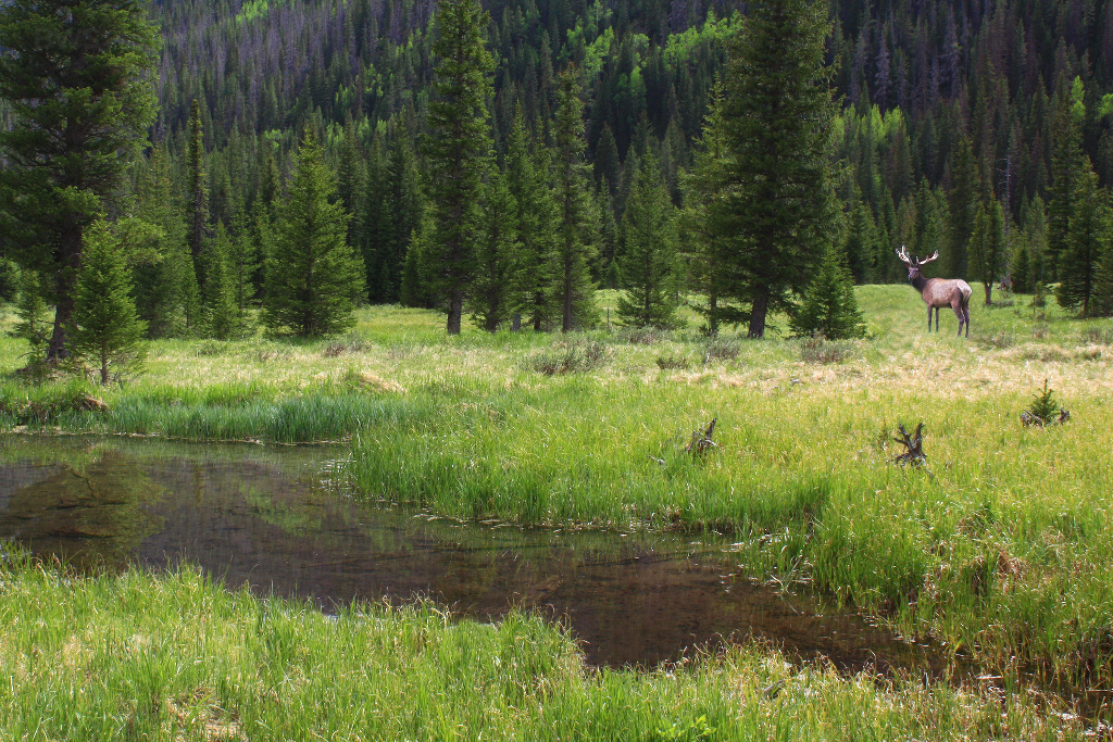 Rocky_Mountain_National_Park_View Rocky_Mountain_National_Park_View