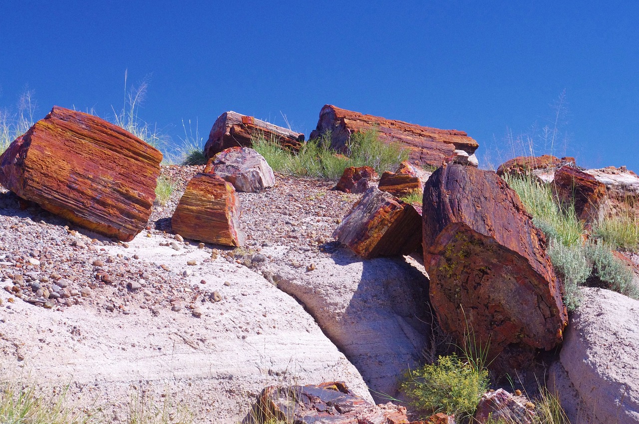 petrified-forest-national-park petrified-forest-national-park