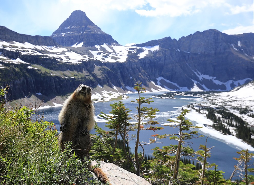 Glacier_National_Park Glacier_National_Park