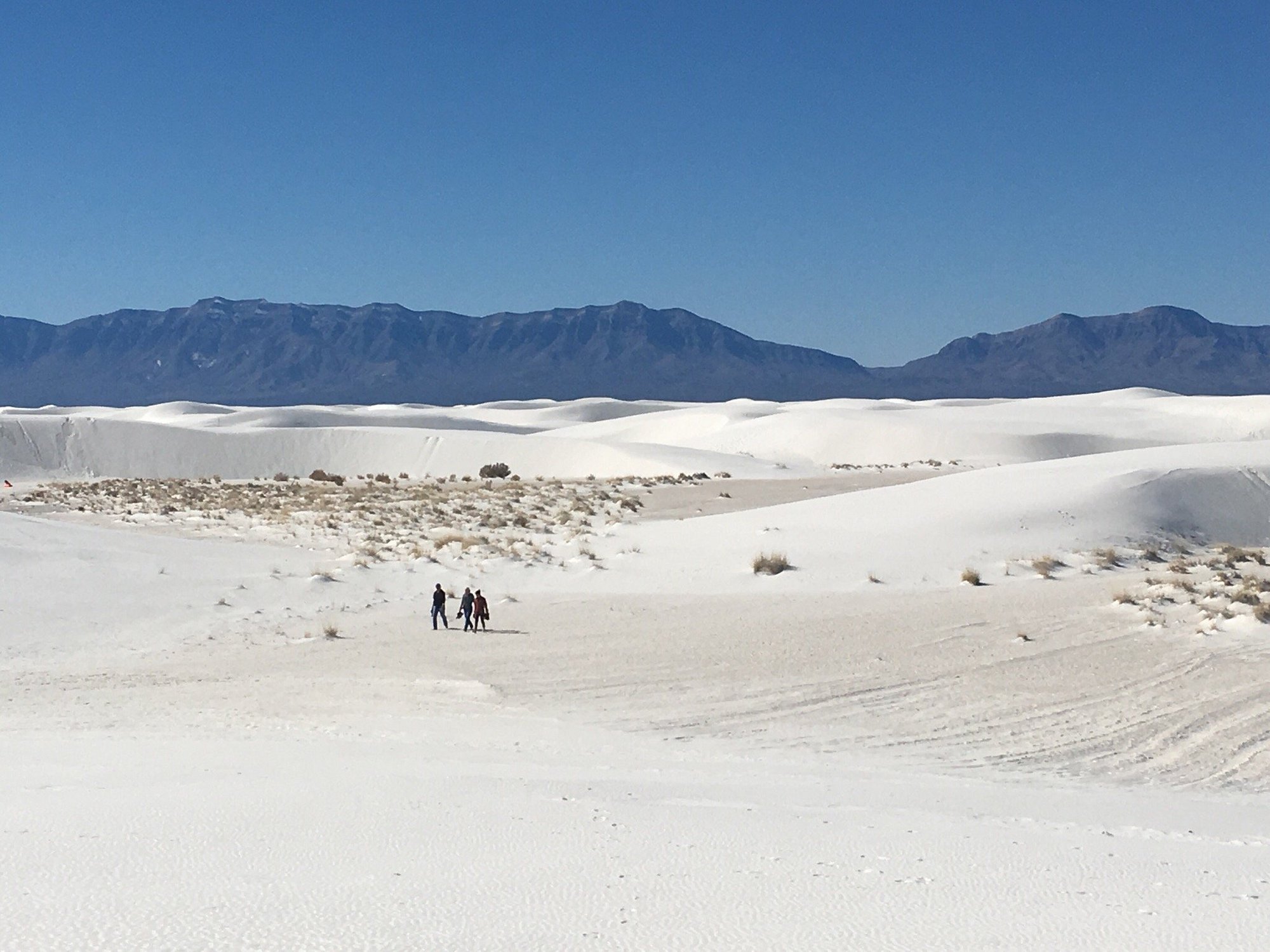 White_Sands_Park White_Sands_Park