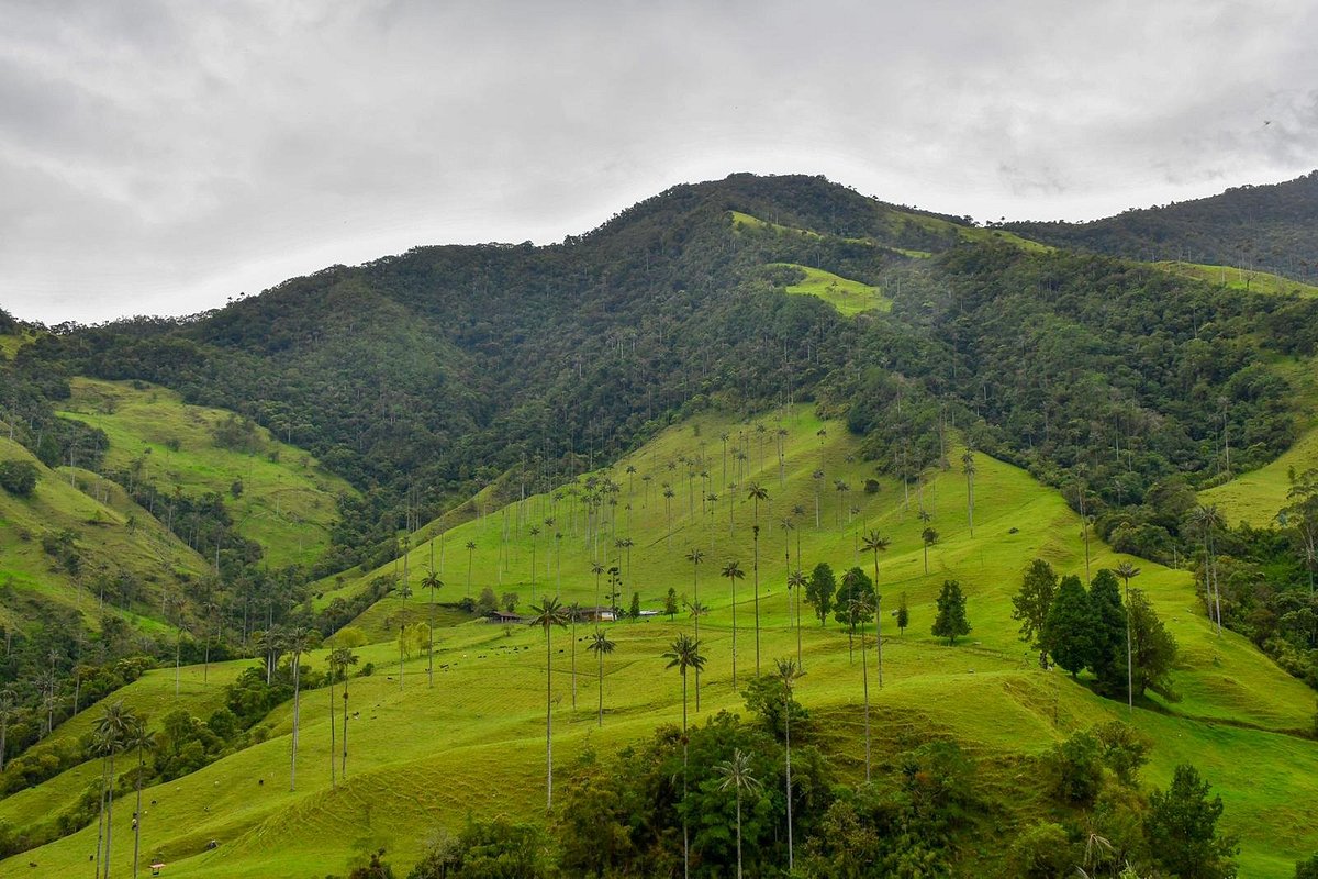 ecosistemas-travel ecosistemas-travel