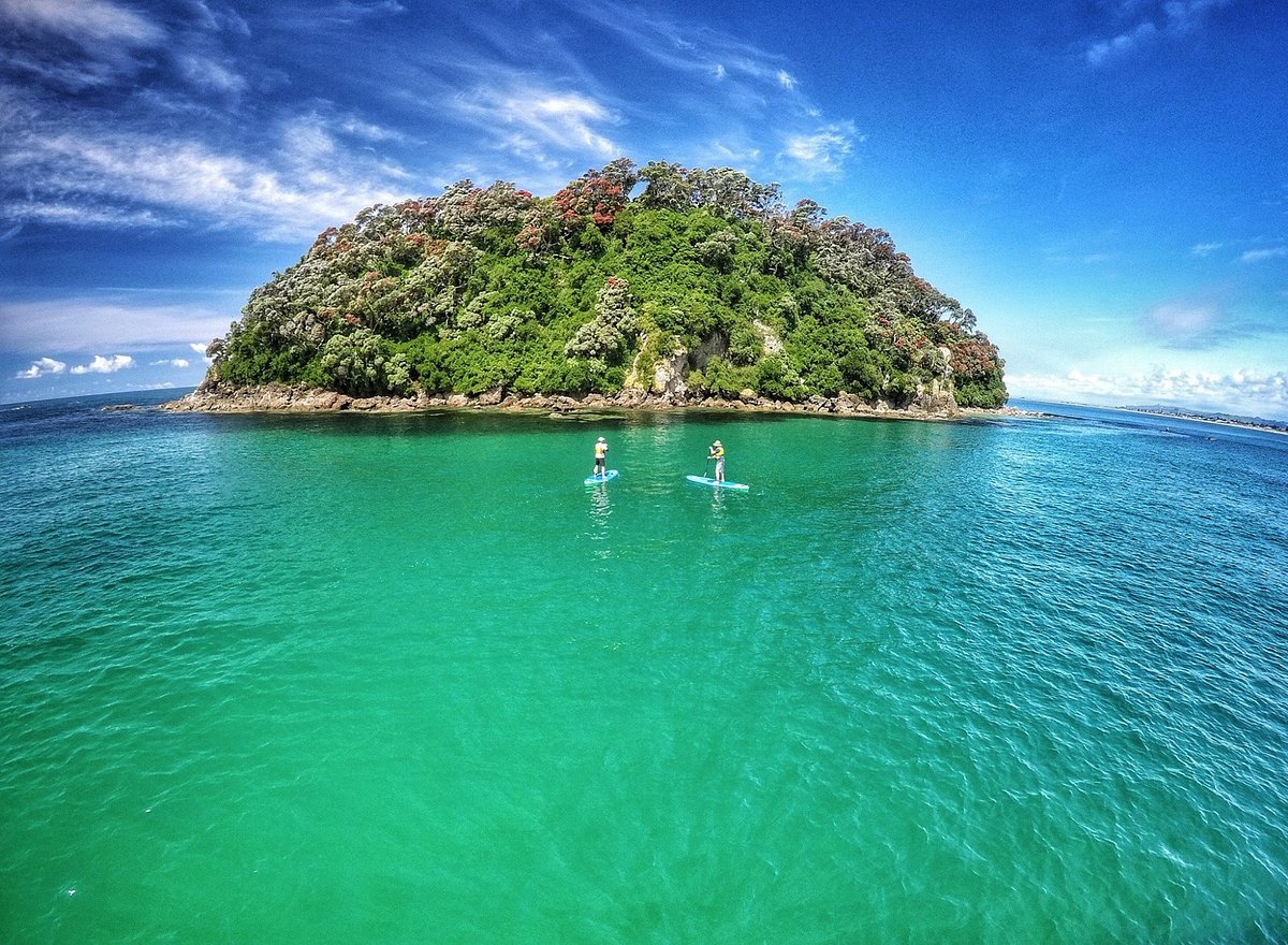 paddleboarding-around-tauranga paddleboarding-around-tauranga