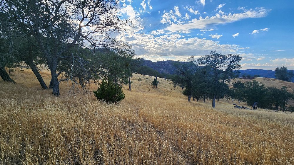 pinnacles-park_water