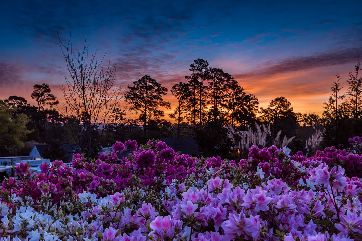 sunrise-at-augusta sunrise-at-augusta