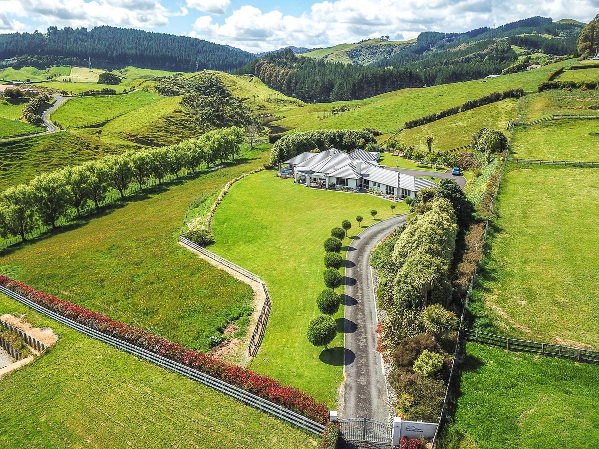 tauranga-lodge tauranga-lodge