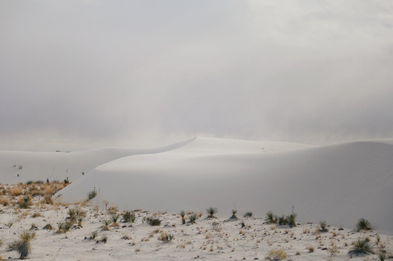 white sands national park white sands national park