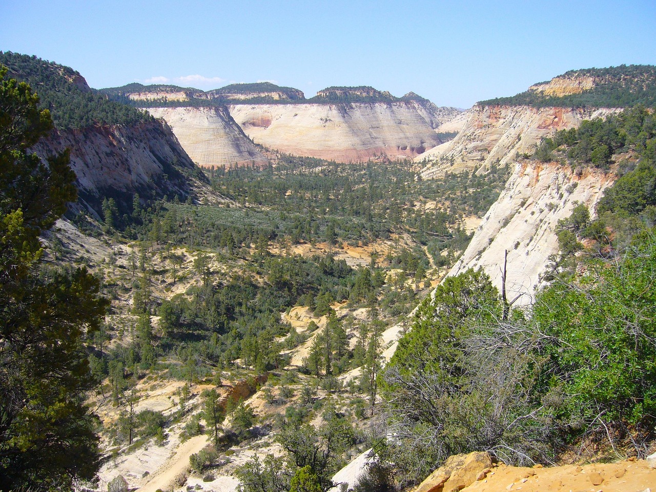 zion-national-park zion-national-park