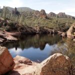 Bear_gulch_reservoir