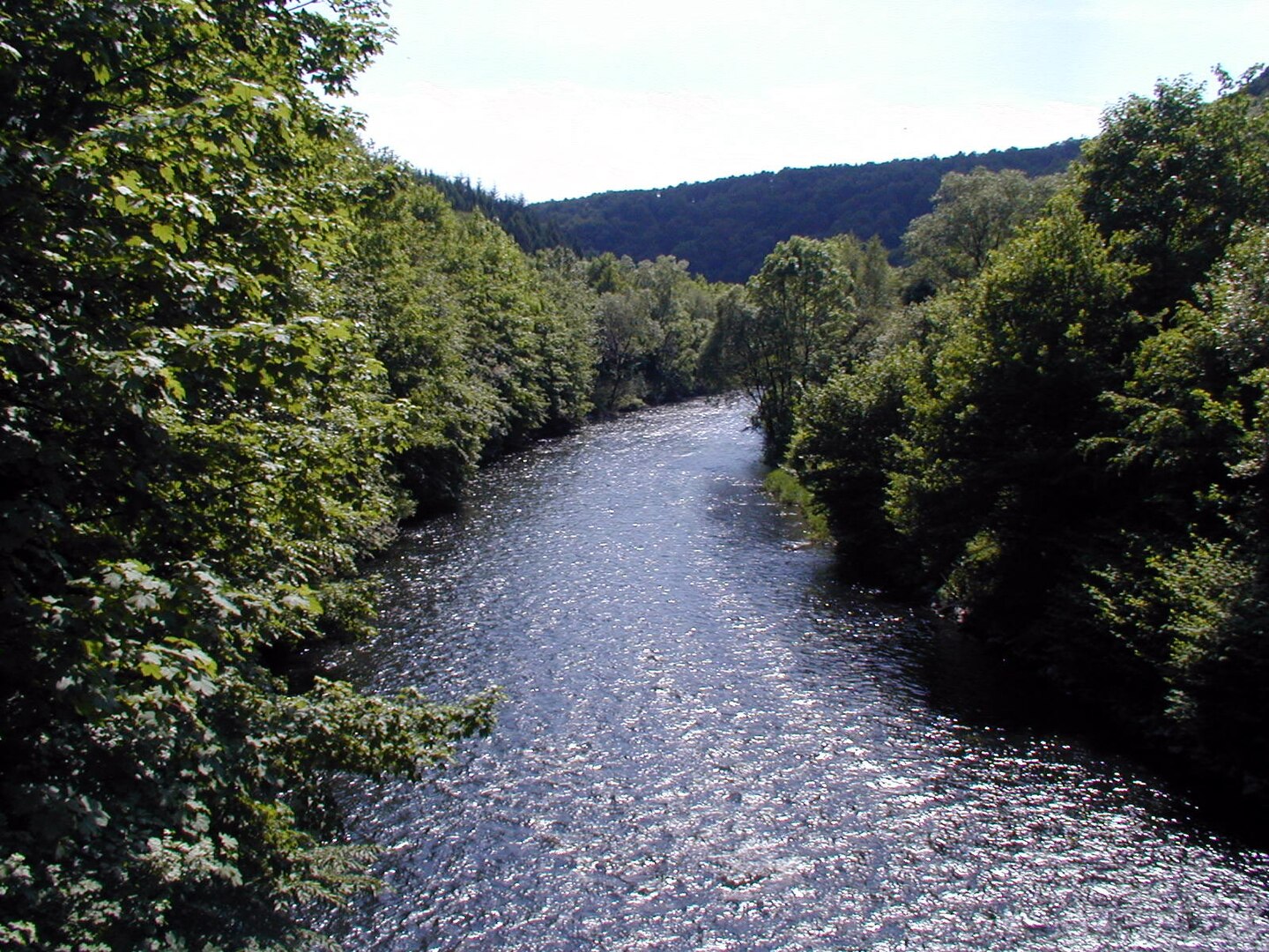 Burgholz