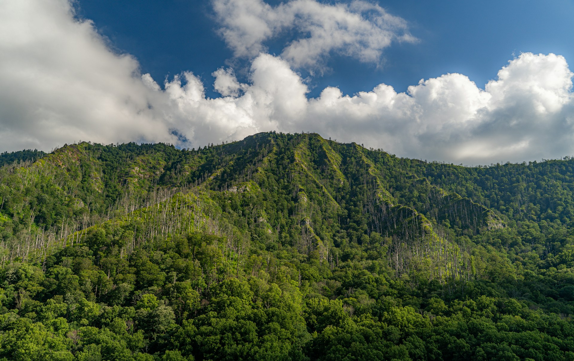 Great Smoky Mountains Great Smoky Mountains