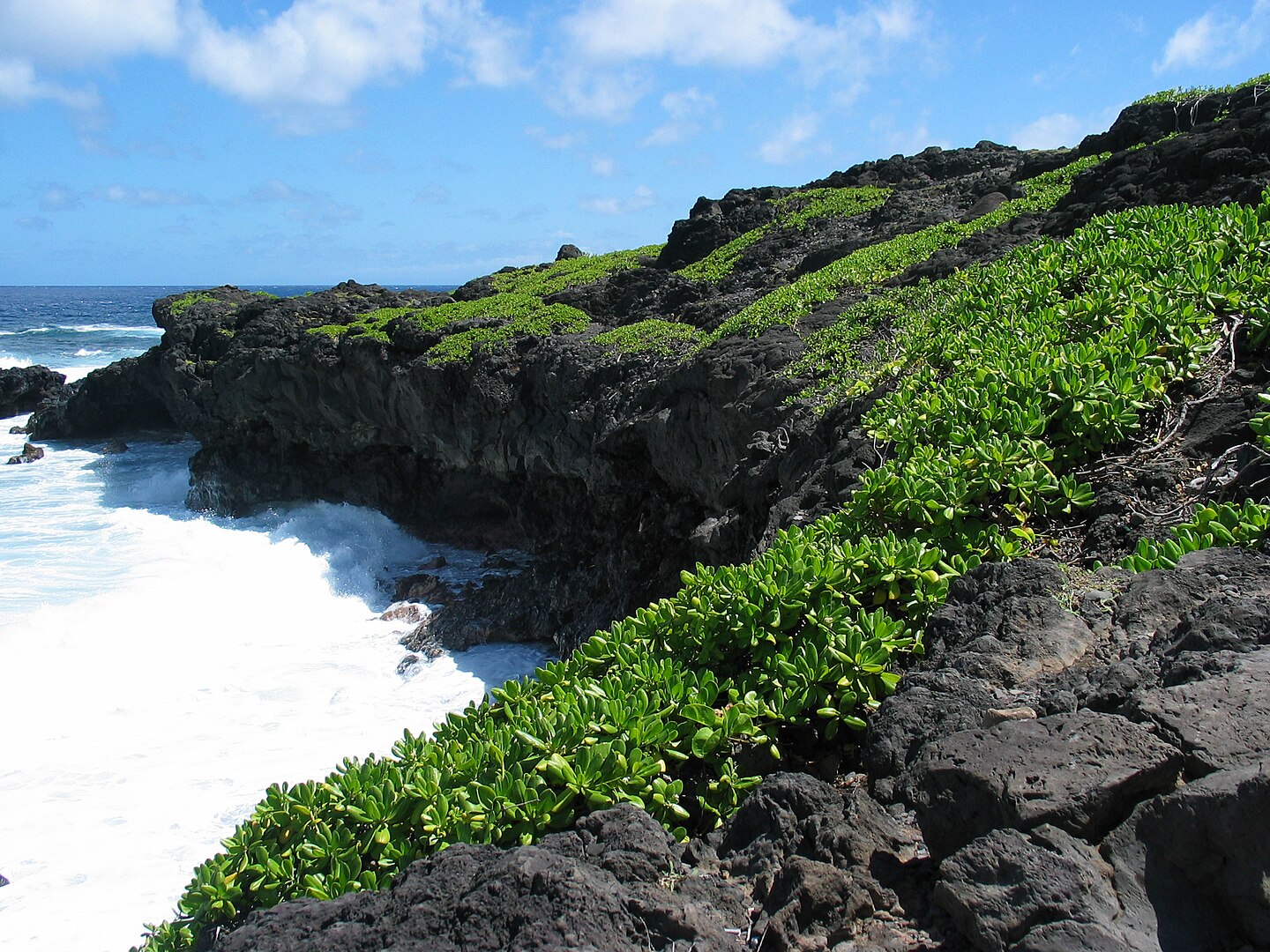 Kipahulu_coast Kipahulu_coast