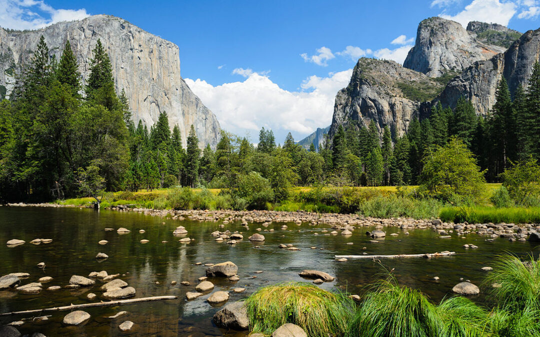 Yosemite National Park: A Living Masterpiece of Nature