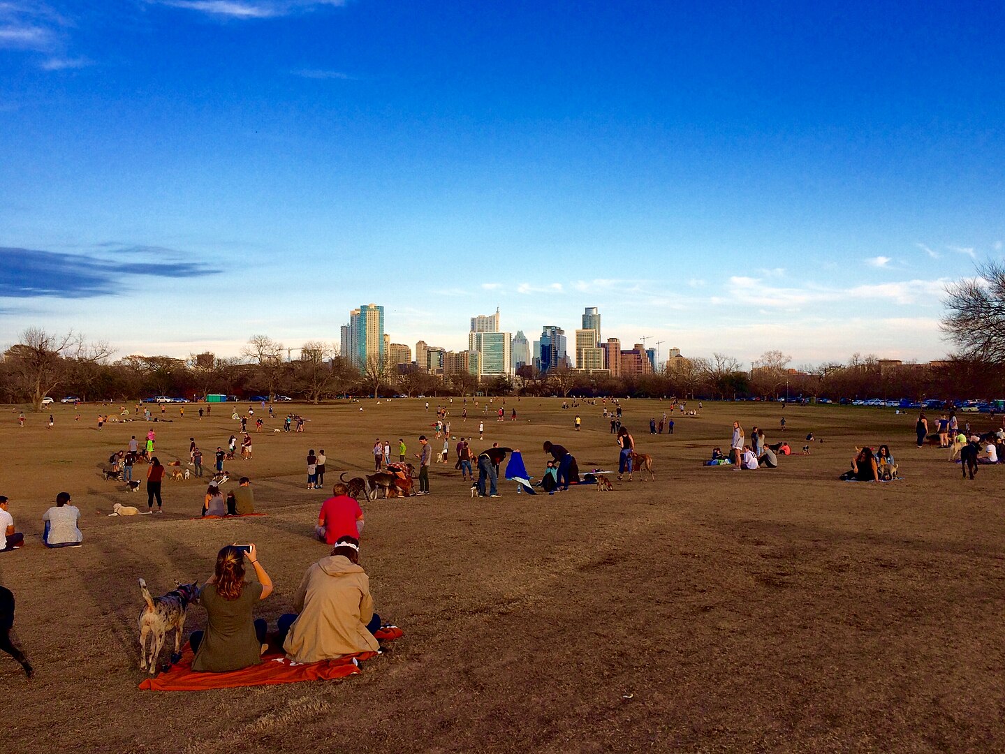 Zilker_Park
