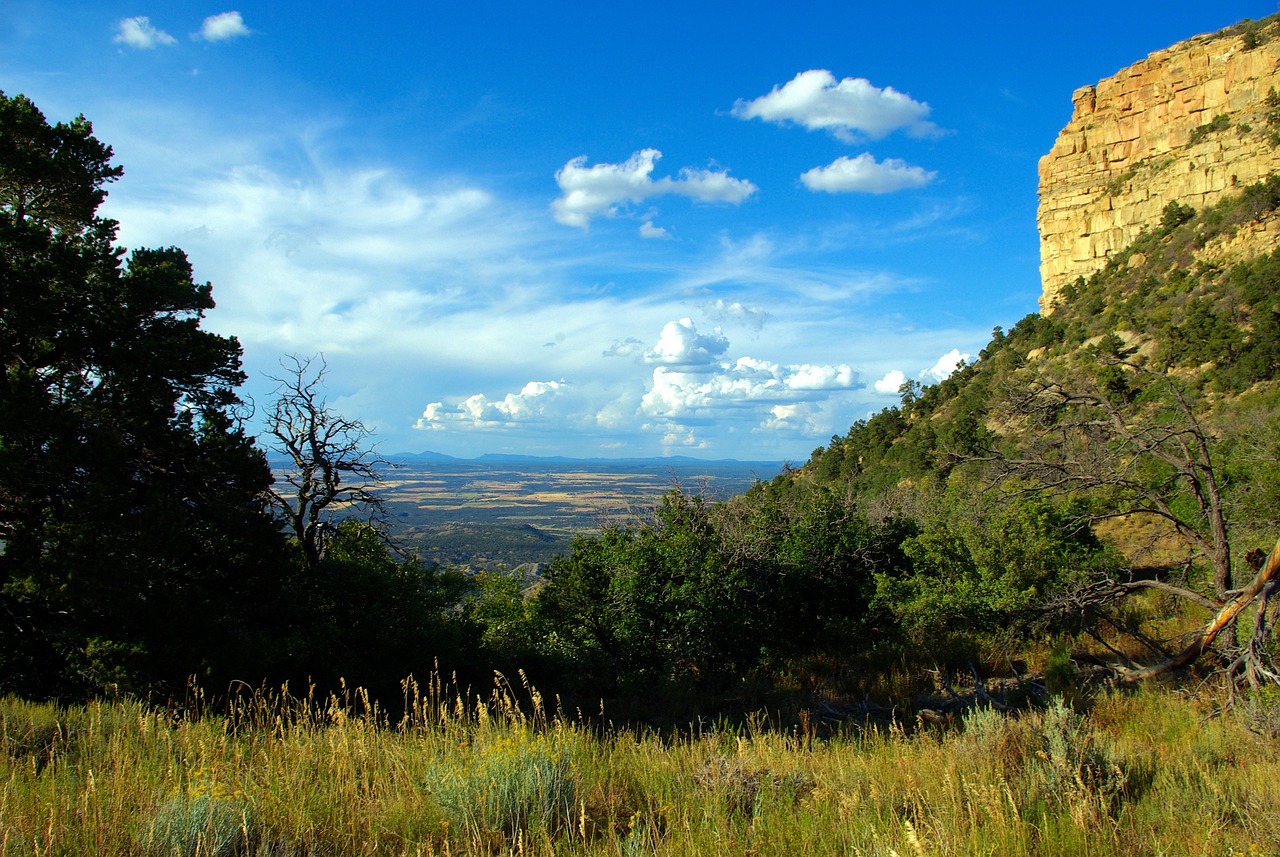 mesa-verde-view mesa-verde-view