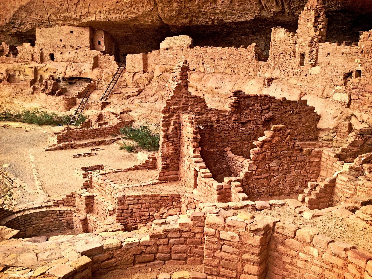 mesa-verde mesa-verde