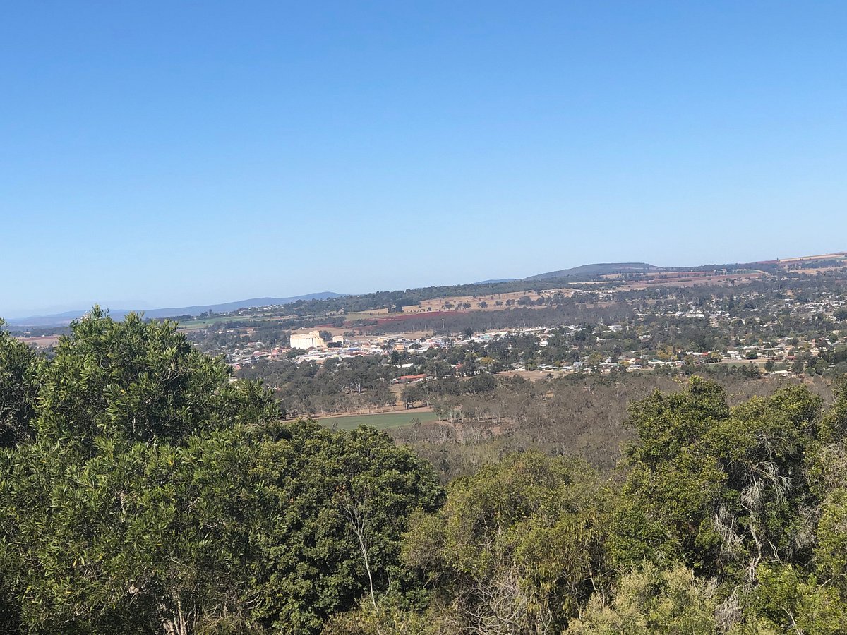 mt-wooroolin-lookout