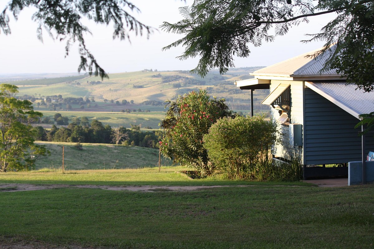 winter-time-in-the-vinyard