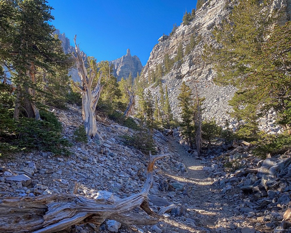 wheeler-peak-bristlecone wheeler-peak-bristlecone